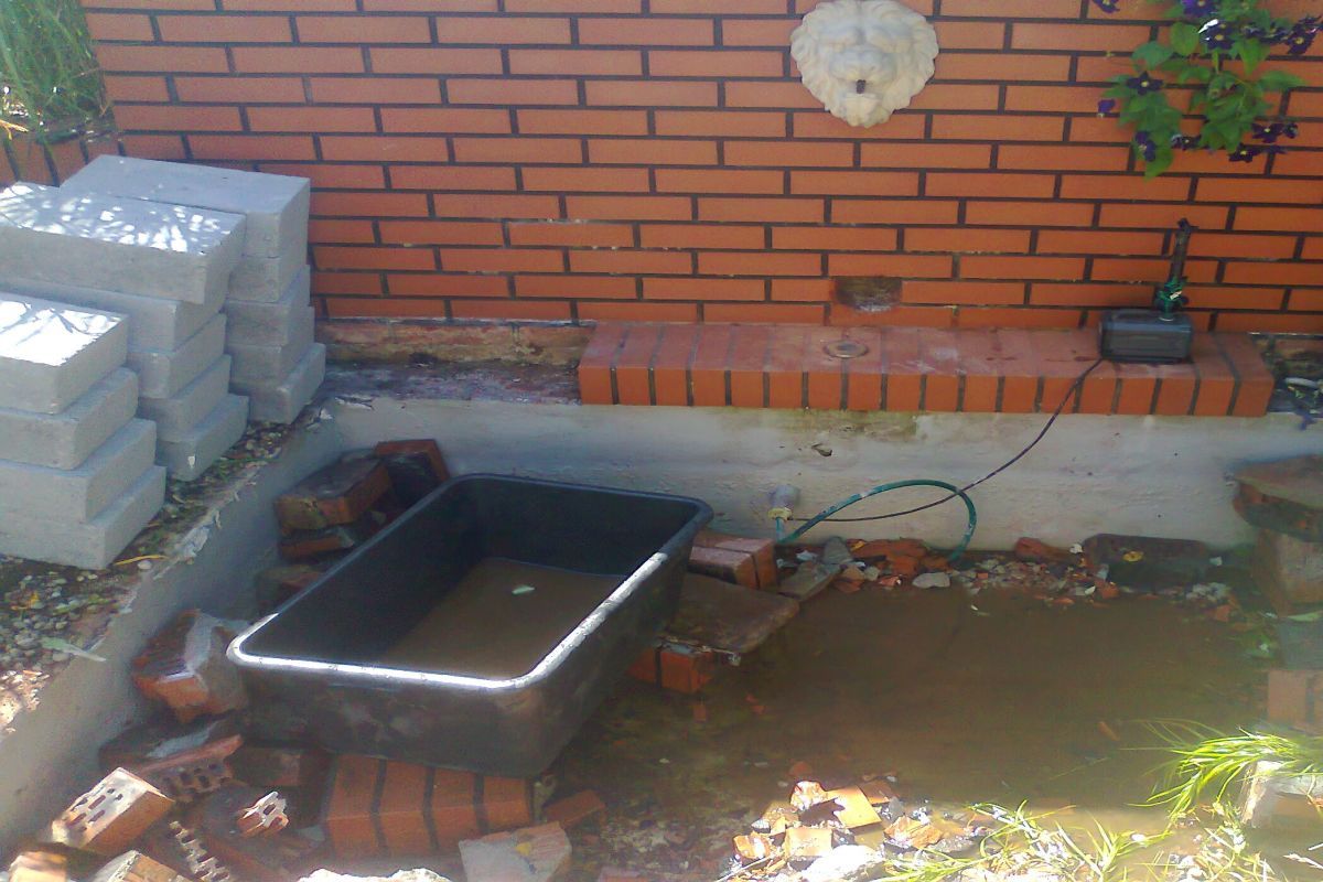 Zdjęcie0463