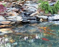 D. Gornicza wykonanie oczka wodnego 4