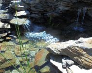 DSC00920
