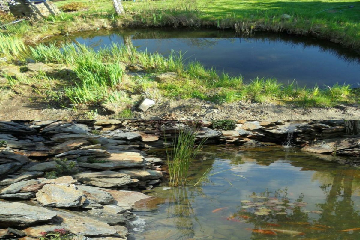 1przed-1bIMG 20170211 141048