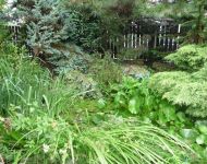 1przed D. Gornicza przed wykonaniem oczka wodnego 1