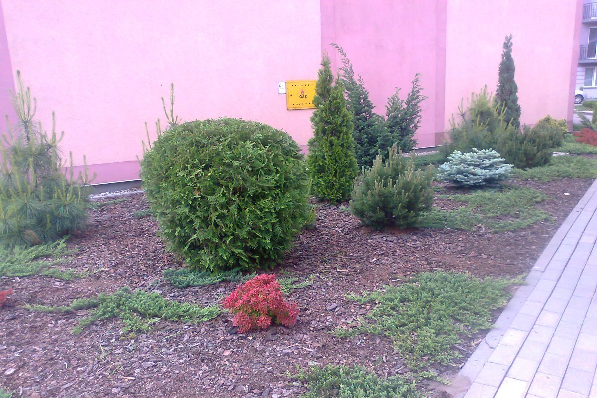 Zdjęcie0414